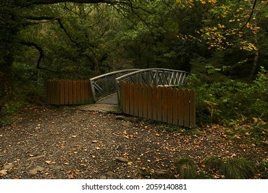 Glengarra Woods Located On The Southern Slopes Of The Galtee Mountains In Co Tipperary ,ireland.Sitka Spruce Are The Main Species Of Trees,also Native Oak ,ash And Alder.ferns Grow In Profusion.