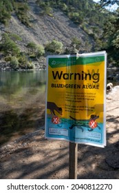 Glenmore, Scotland, UK, September 13 2021: Warning Sign For Blue Green Algae At The Green Lochan Near Glenmore In Scotland. Blurred Background Of Lochan And Hillside. Sunny Day, No People.