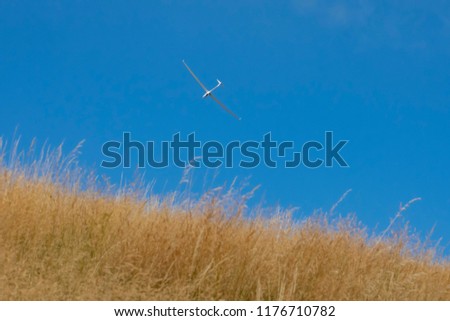 Similar – Flying rainbow kites coast