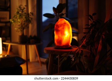 Glimmering salt lamp surrounded by tropical plants in a cozy living room