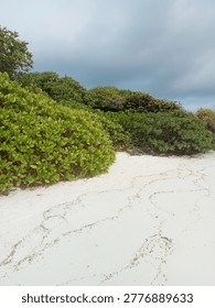 A glimpse of the beach is a spectacular sight.