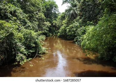 A glimpse of the Lulua River in the Democratic Repubblic of Congo