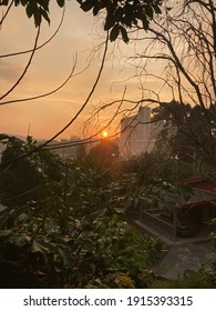 A Glimpse Of Round Sun, Apartment And Dead Tree Right Before The Sunset.