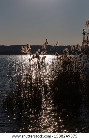 Similar – Morgensonne scheint auf den Dunst über einem See