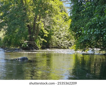 "Glimpses of sunlight dance across the water's surface, where the river bends beneath a canopy of lush green trees. A serene moment frozen in time, this peaceful scene invites you to relax by nature’s - Powered by Shutterstock