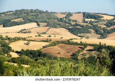 
Glimpses Of The Tuscan Hills In Summer