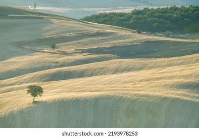 
Glimpses Of The Tuscan Hills In Summer