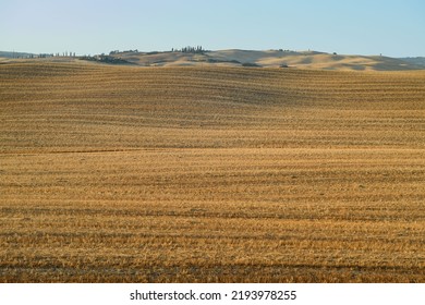 
Glimpses Of The Tuscan Hills In Summer