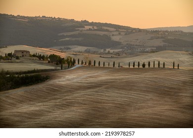 
Glimpses Of The Tuscan Hills In Summer