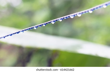 Glistening Water Drops On A Rotary Clothes Line