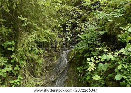 Glistening waterfalls cascade in serene creek.
Nature's artistry: creek and waterfalls. 
Majestic waterfalls adorn tranquil creek.
Creek's gentle flow meets roaring falls. Creek serenades with 