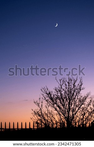 Gloaming Sky and Moon. Hampshire, UK. January 4 2022. 