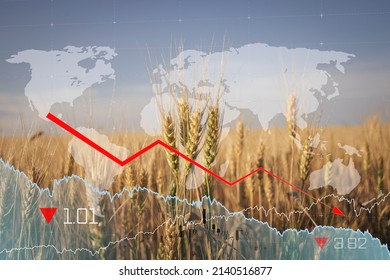 Global and European grain and wheat crisis after Russia's invasion of Ukraine. Ukraine and Russia world's largest exporters of grain