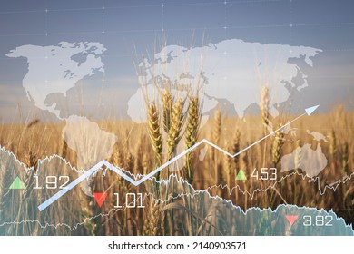 Global and European grain and wheat crisis after Russia's invasion of Ukraine, largest exporters of grain. Embargo and sanction for export of grain, Food of Agriculture. - Shutterstock ID 2140903571