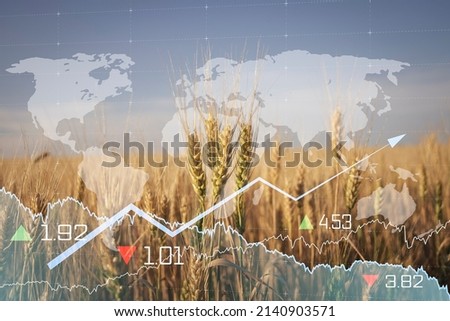 Global and European grain and wheat crisis after Russia's invasion of Ukraine, largest exporters of grain. Embargo and sanction for export of grain, Food of Agriculture.