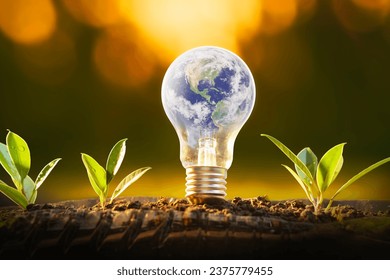 Global in light bulb. Ecologically friendly and sustainable environment
