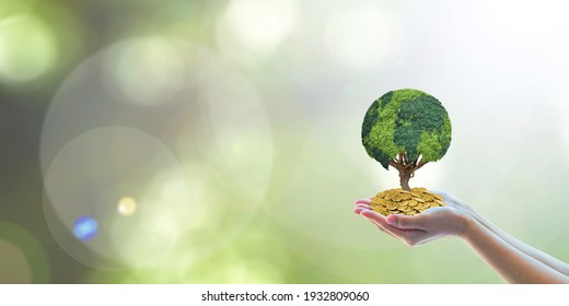 Global sustainable investment fund with environment, social, governance (ESG) in clean industry and CSR policy concept with volunteer hands holding world green tree growing on money capital wealth