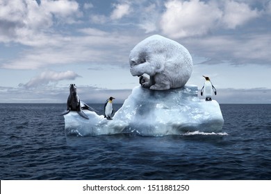 Globally Warming. Climate Change. The Bear Cries Closing Its Face With Its Paws. Polar Bear, Penguins And Fur Seal Sits On A Melting Glacier In The Middle Of The Ocean. Ecological Catastrophe