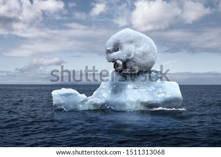 globally warming. climate change. the bear cries closing its face with its paws. polar bear sits on a melting glacier in the middle of the ocean. ecocatastrophe. ecological catastrophy