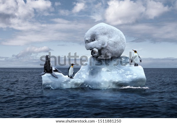 globally warming. climate change. the bear\
cries closing its face with its paws. polar bear, penguins and fur\
seal sits on a melting glacier in the middle of the ocean.\
ecological catastrophe