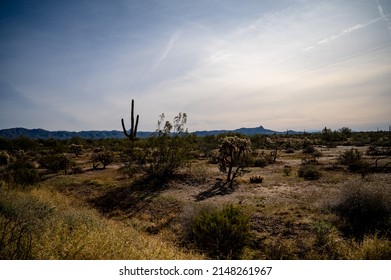 Globe Arizona Mountain Landscape Scenery