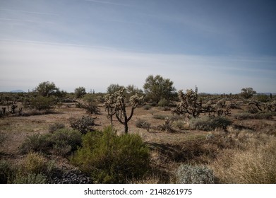 Globe Arizona Mountain Landscape Scenery