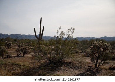 Globe Arizona Mountain Landscape Scenery