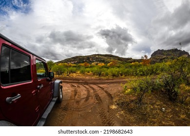 Globe, AZ, USA - Dec 25, 2021: A Jeep Wrangler Unlimited Sports Parked Along The Preserve Park