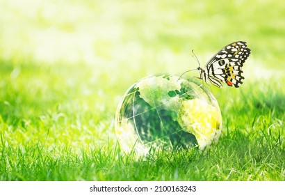 Globe Earth Glass On Nature Green Grass Background In Natural Sun Light, Green World Concept