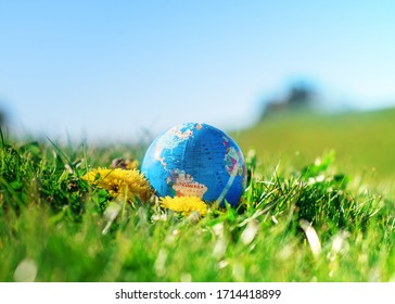 Globe / Earth on palms on green grass and yellow dandelions. World in the palm of your hand