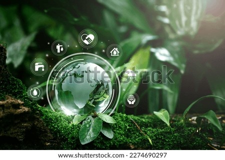 Globe Glass with save water icons In Green Forest With Sunlight. environment day and water day.clean renewable energy, Environmental protection concept of protecting the earth's water resources