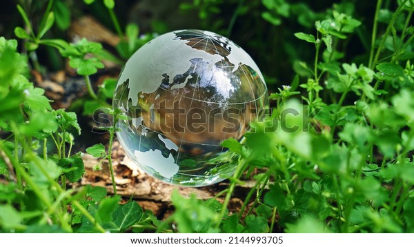 Globe in green forest.
Environment protection concept. Ecology. Sustainable society.
SDGs.