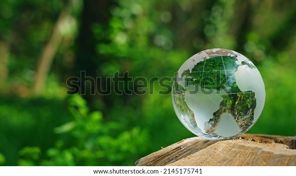 Globe in green forest.
Environment protection concept. Ecology. Sustainable society.
SDGs.