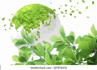 Globe And Leaf Of The Fresh Green Leaf - Shutterstock ID 207876676