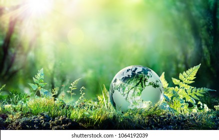 Globe On Moss In Forest - Environmental Concept
