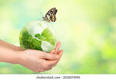 Globe world glass ball and butterfly in hands with green grass field in side the globe glass on nature blur background. eco concept