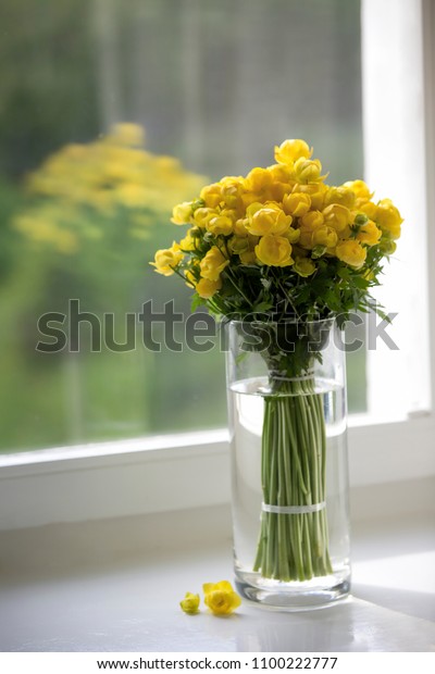 Globeflower Trollius Europaeus Glass Vase By Stock Photo Edit Now