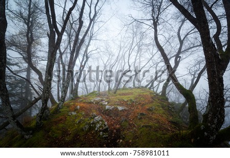 Similar – Foto Bild Abendstimmung Natur