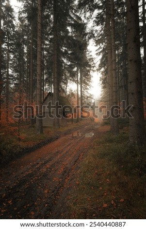 Similar – Medieval castle ruins in autumn, Krimulda, Sigulda, Latvia