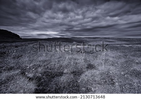 Similar – Image, Stock Photo Faroe Islands Environment