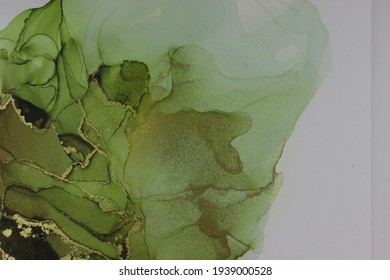 Gloomy dark greek stormy poison green black gold liquid swirls of alcohol ink.