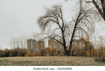 A Gloomy Empty Park. Autumn City Landscape. 