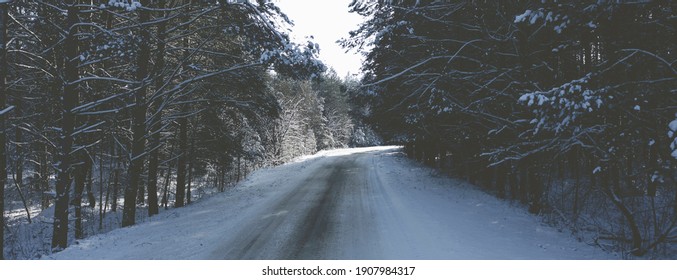 Gloomy Forest, Car Road In A Dark Forest. Foggy Forest Landscape, Track. 