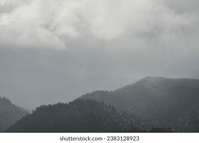 Gloomy gray landscape. View of thick fog over mountains with trees. Background. - Powered by Shutterstock