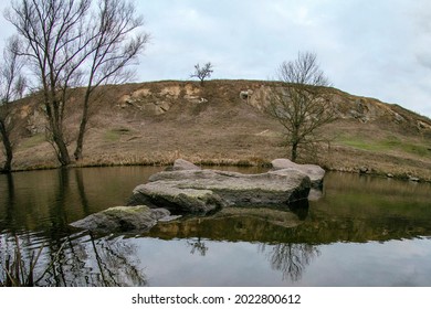 Gloomy Gray Nature Photo. Winter Without Snow