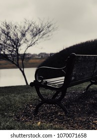 Gloomy And Rainy Park Bench