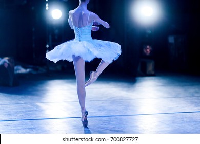 Glory, Dream, Choreography Concept. Slender Silhouette Of Female Ballet Dancer In The Stage Lights Wearing Beautiful Tutu Turning Around Like Statuette In Music Box