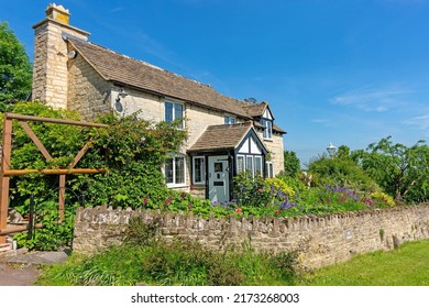 Gloucester, Gloucestershire, UK, June 5th, 2015, An Enclosed  Cottage Garden With Mature Shrubs In Summer. 