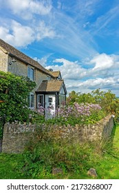 Gloucester, Gloucestershire, UK, June 5th, 2015, A Walled Cottage Garden With Mature Shurbs And Flowers In Summer.