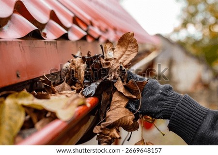 A gloved hand clears the gutter of a red tile roof of fall leaves, preventing clogs and water damage.